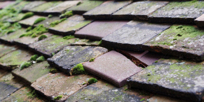 Thrussington roof repair costs